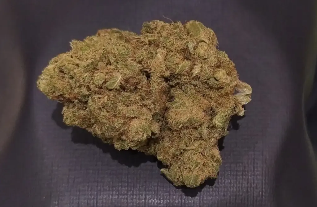 WEDDING CAKE CBD - avaliação de JoseLillo?