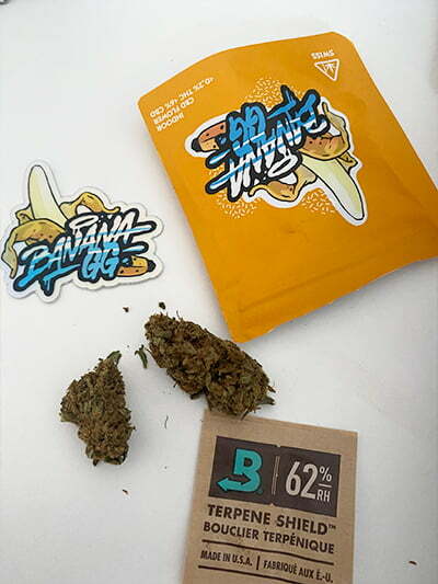 BANANA GG CBD - avaliação de Bernie Monroy