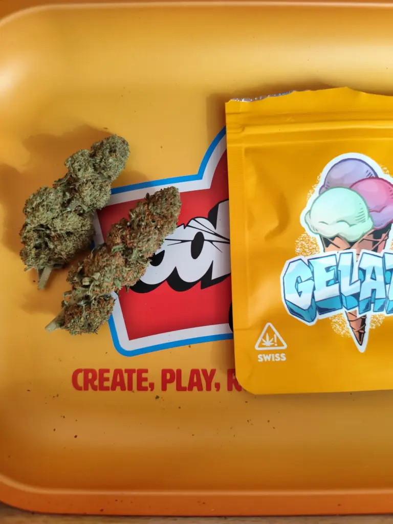 GELATO CBD - avaliação de kike