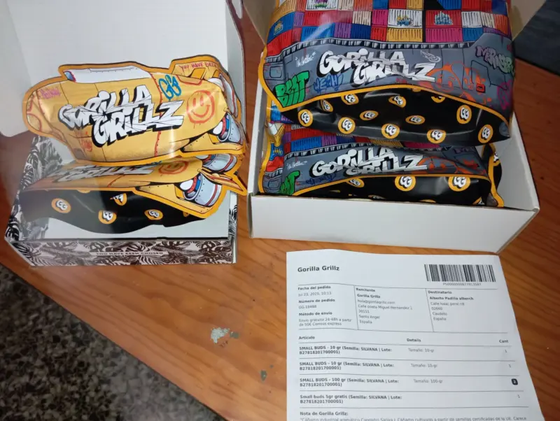 BOTÕES PEQUENOS - reseña de Alberto Padilla