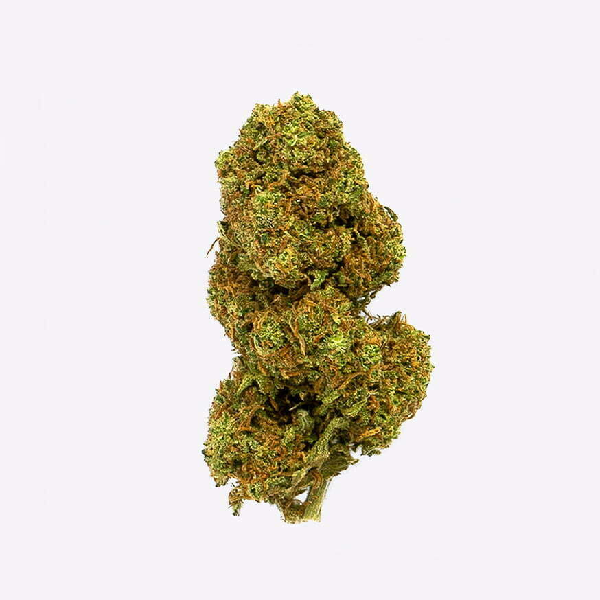 OCFocus cbd flor