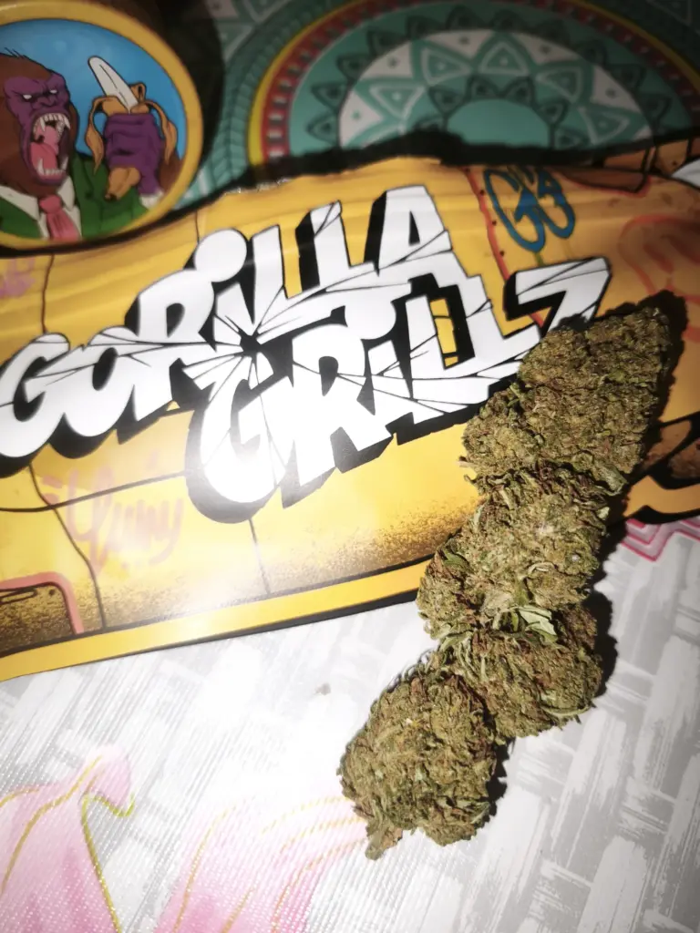 CBD ORANGE CBD | CBD FLEURS EN PLEIN AIR - reseña de el_templo_de_shiva