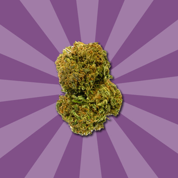 AMNESIA CBD 47 - Image 4