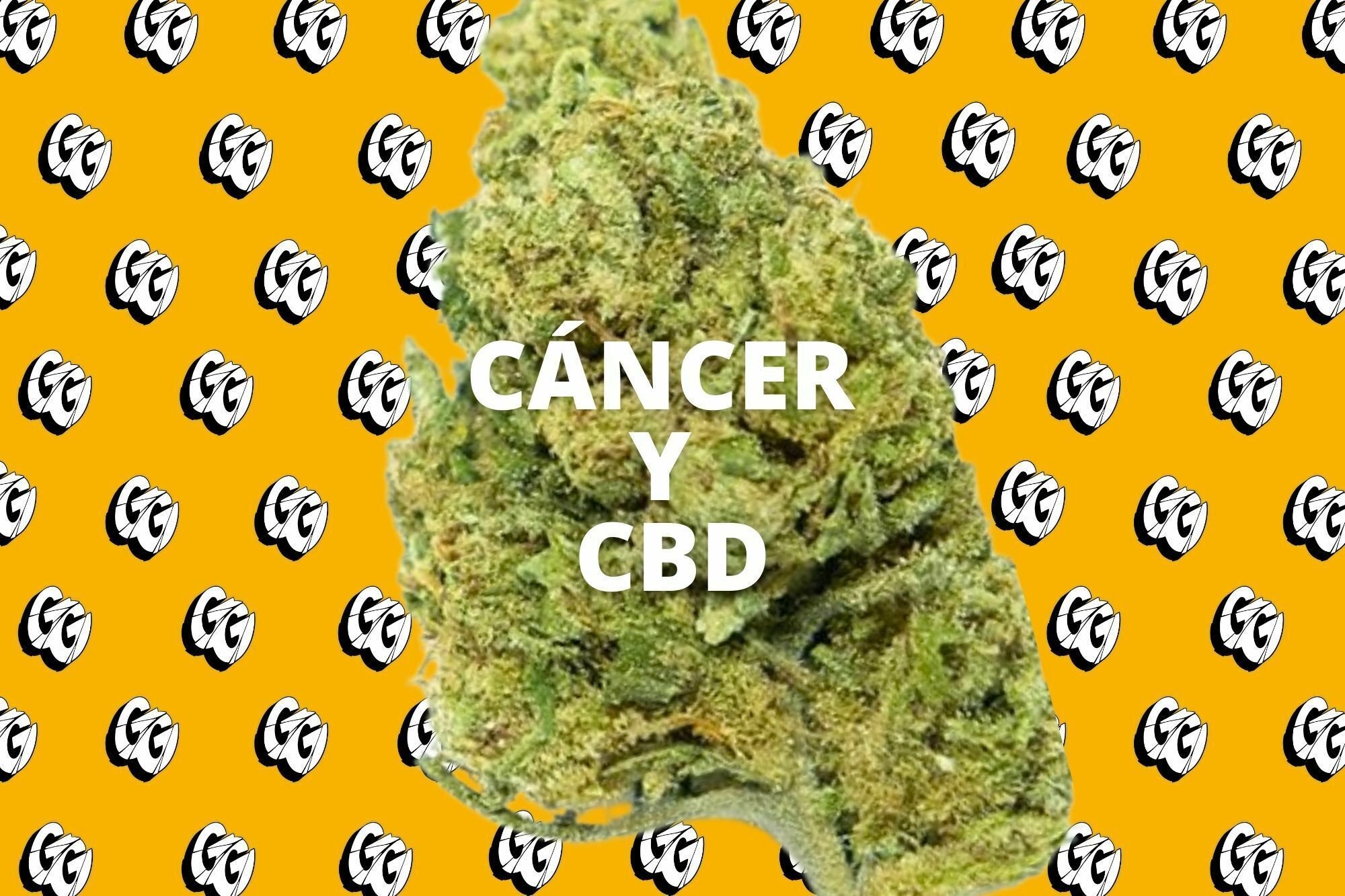 cancer y cbd