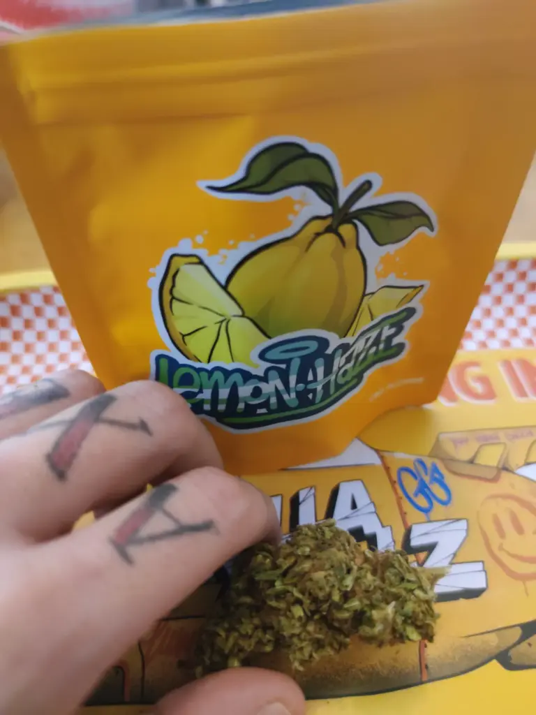 LEMON HAZE CBD | FLEURS DE CBD EN EXTÉRIEUR - reseña de sarah