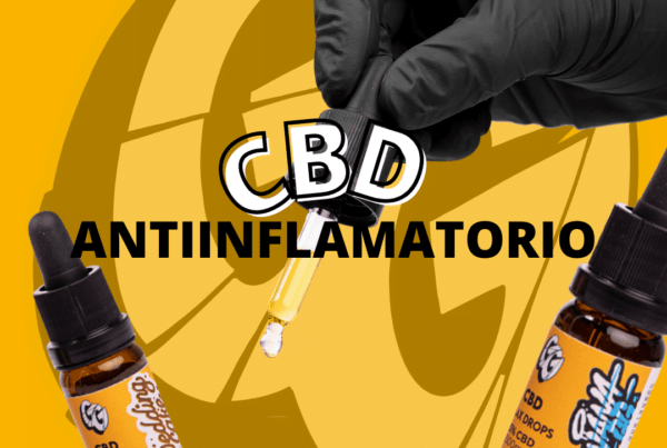 Home, Gorilla Grillz - CBD de máxima calidad - Comprar CBD online
