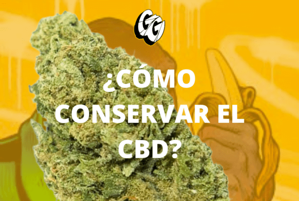 Blog de cbd, Gorilla Grillz - CBD de máxima calidad - Comprar CBD online
