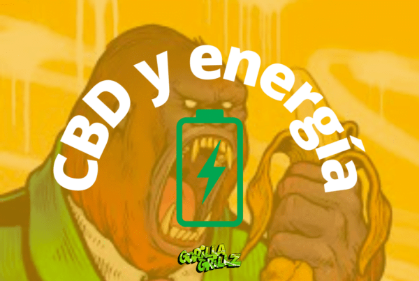 Home, Gorilla Grillz - CBD de máxima calidad - Comprar CBD online