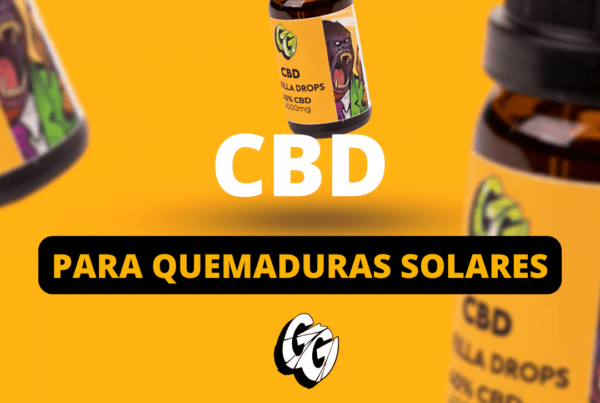 Home, Gorilla Grillz - CBD de máxima calidad - Comprar CBD online