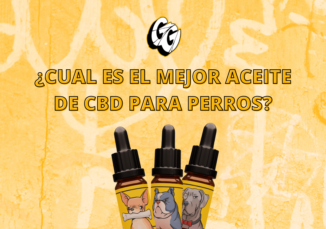 cual es el mejor aceite de cbd para perros