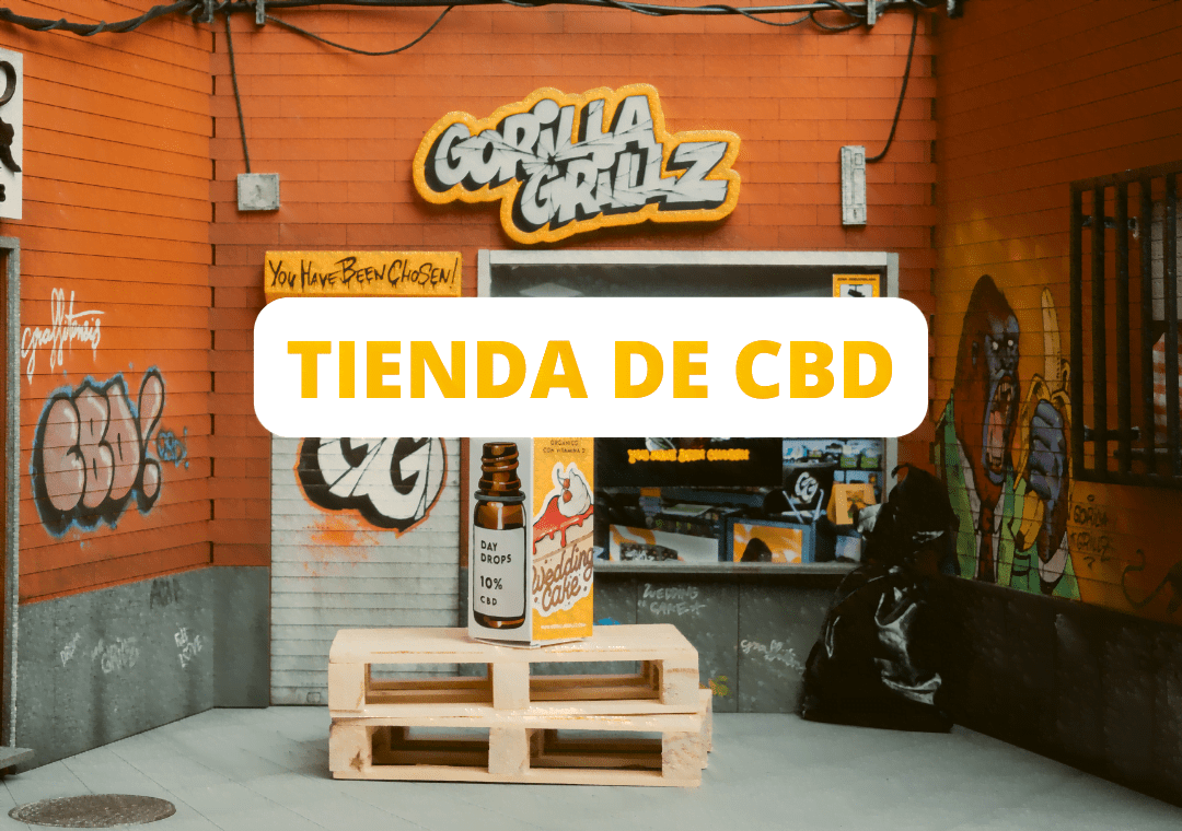 BLOG PORTADA tienda cbd