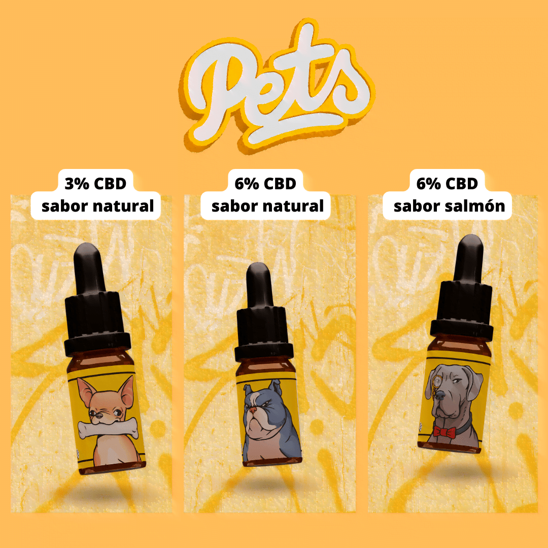 Cual es el mejor aceite CBD para perros 2 aceite cbd perros