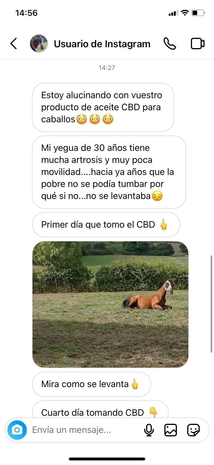 Opiniones aceite de CBD para caballos 2 WhatsApp Image 2022 09 13 at 8.25.29 PM