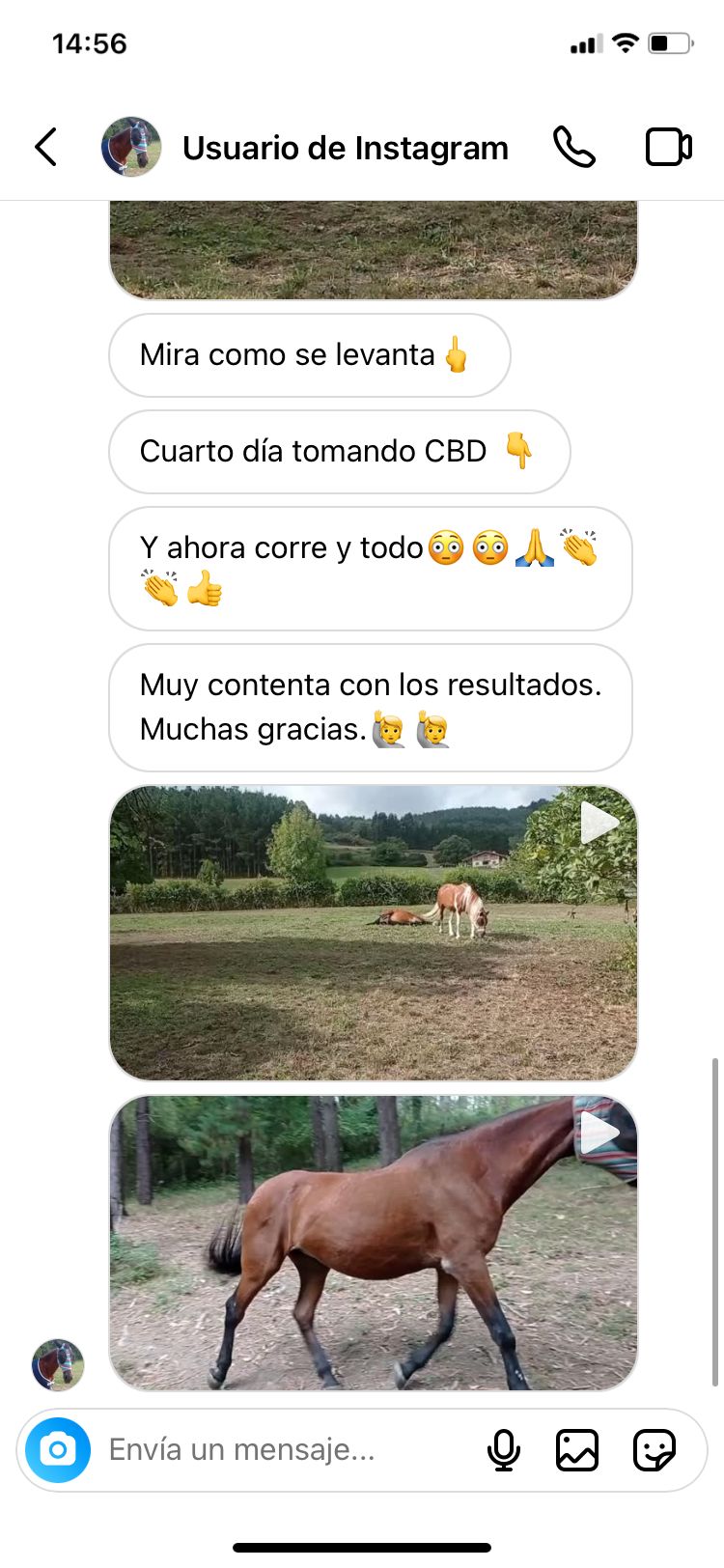 Opiniones aceite de CBD para caballos 3 WhatsApp Image 2022 09 13 at 8.25.30 PM