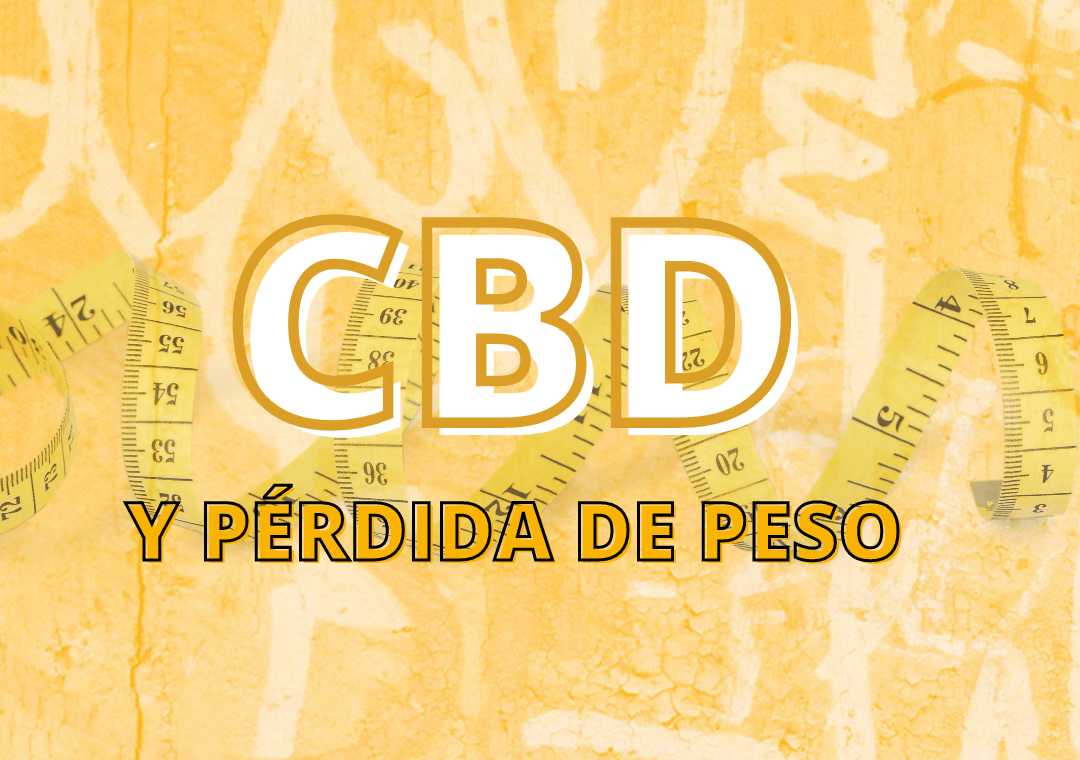 CBD y pérdida de peso