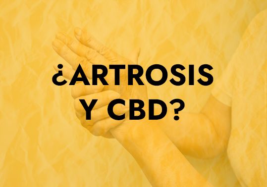 ARTROSIS Y CBD