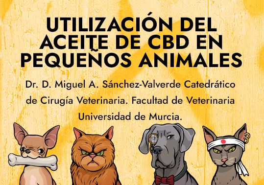 UTILIZACIÓN DEL ACEITE DE CBD PARA EL TRATAMIENTO DE AFECCIONES DE PEQUEÑOS ANIMALES