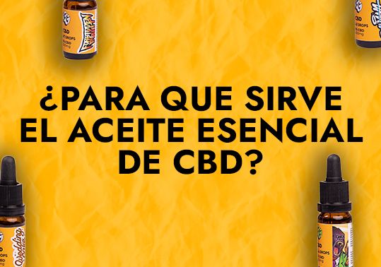 PARA QUE SIRVE EL ACEITE ESENCIAL DE CBD