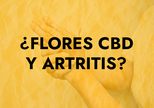 flores cbd y artritis