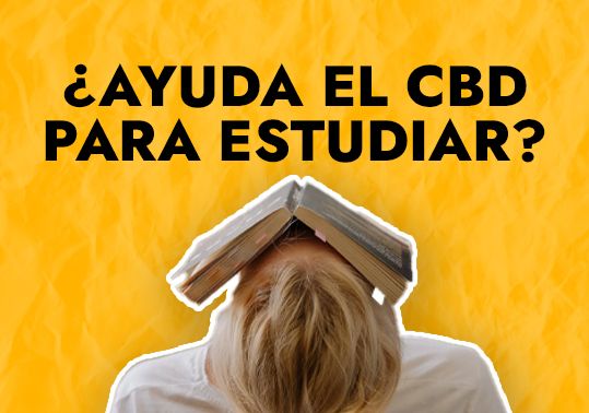 CBD PARA ESTUDIAR