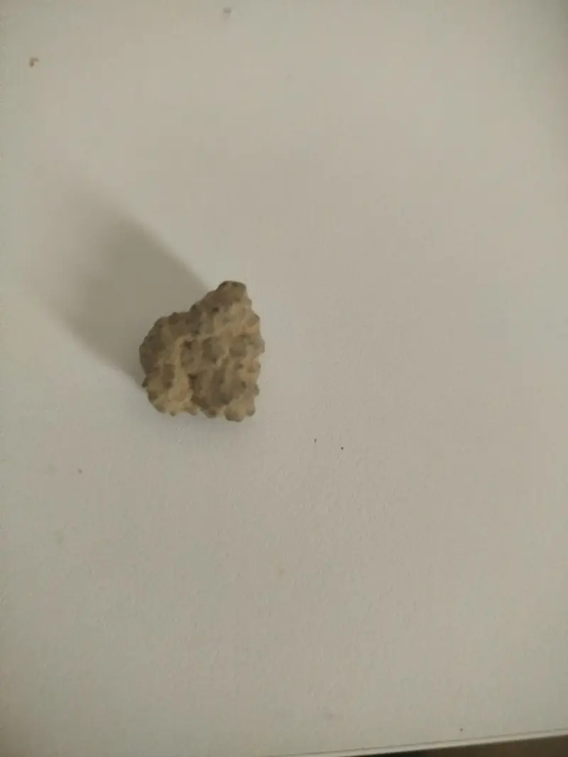 MOON ROCK CBD | CBD HASHISH - reseña de Jose Maria Nuñez