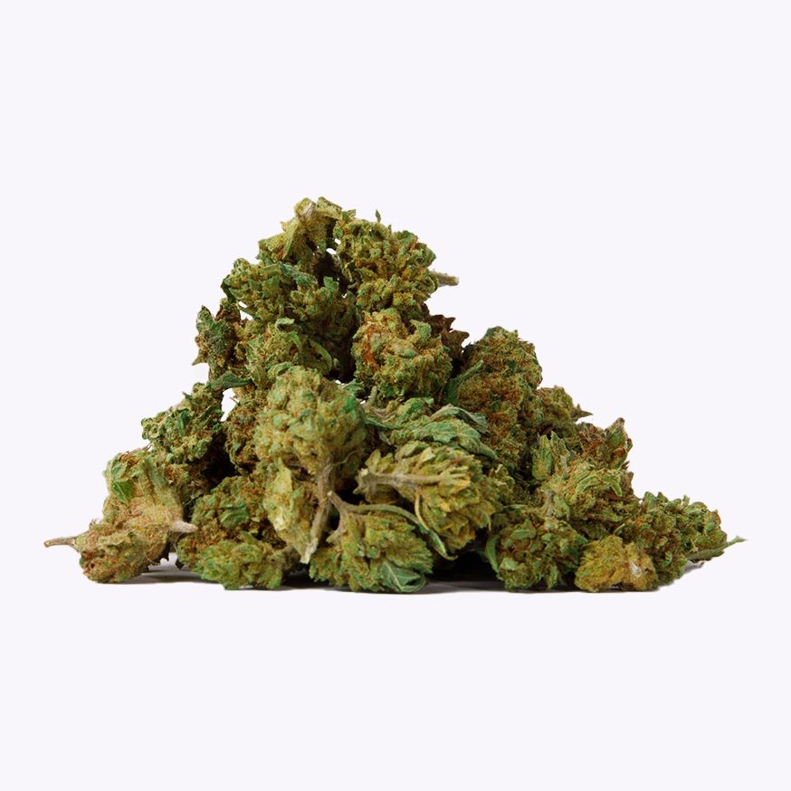 small buds