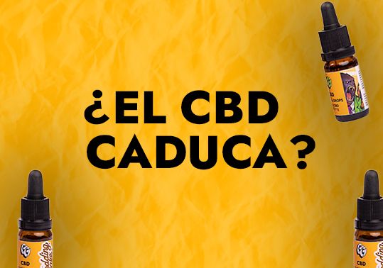 ¿EL CBD CADUCA?