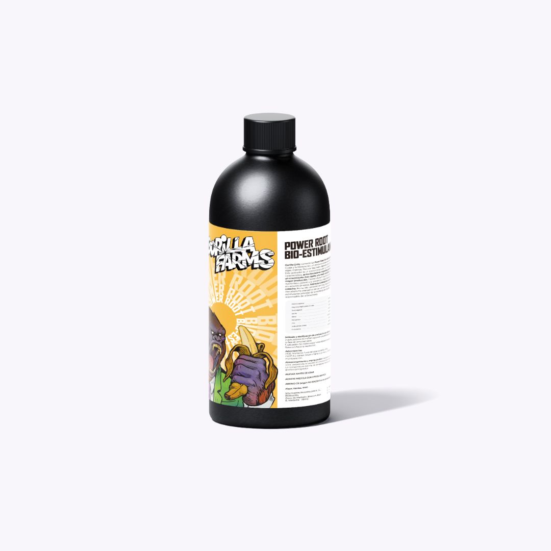 POWER ROOT