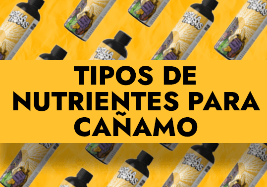 tipos de nutrientes para canamo 1