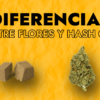 DIFERENCIAS ENTRE HASH CBD Y FLORES CBD 1