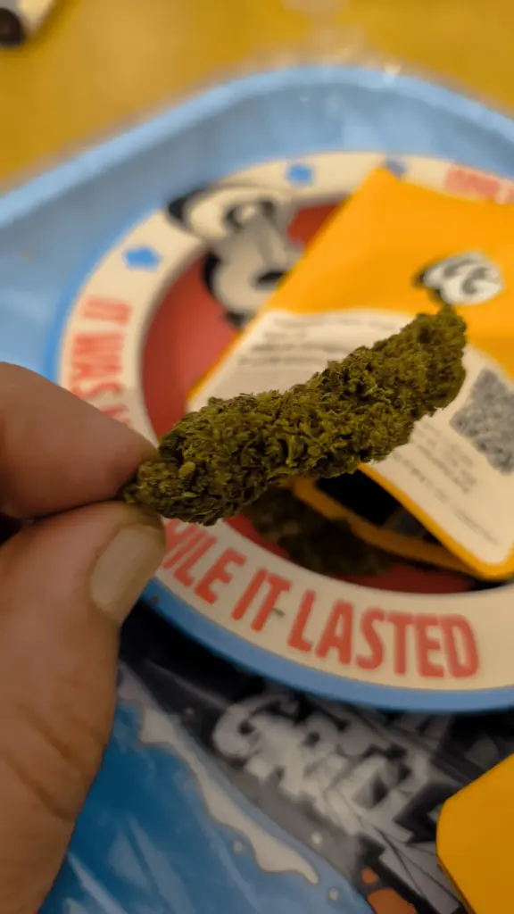 PACK DE DÉMARRAGE | FLEURS DE CBD D&rsquo;EXTÉRIEUR - reseña de emartinbarroso