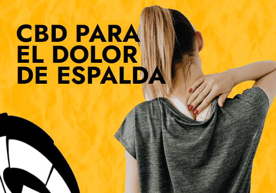 cbd para el dolor de espalda