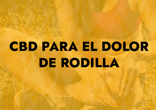 cbd para el dolor de rodilla