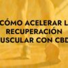 cbd para recuperacion muscular