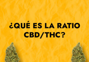 ¿Qué es la ratio CBD THC?