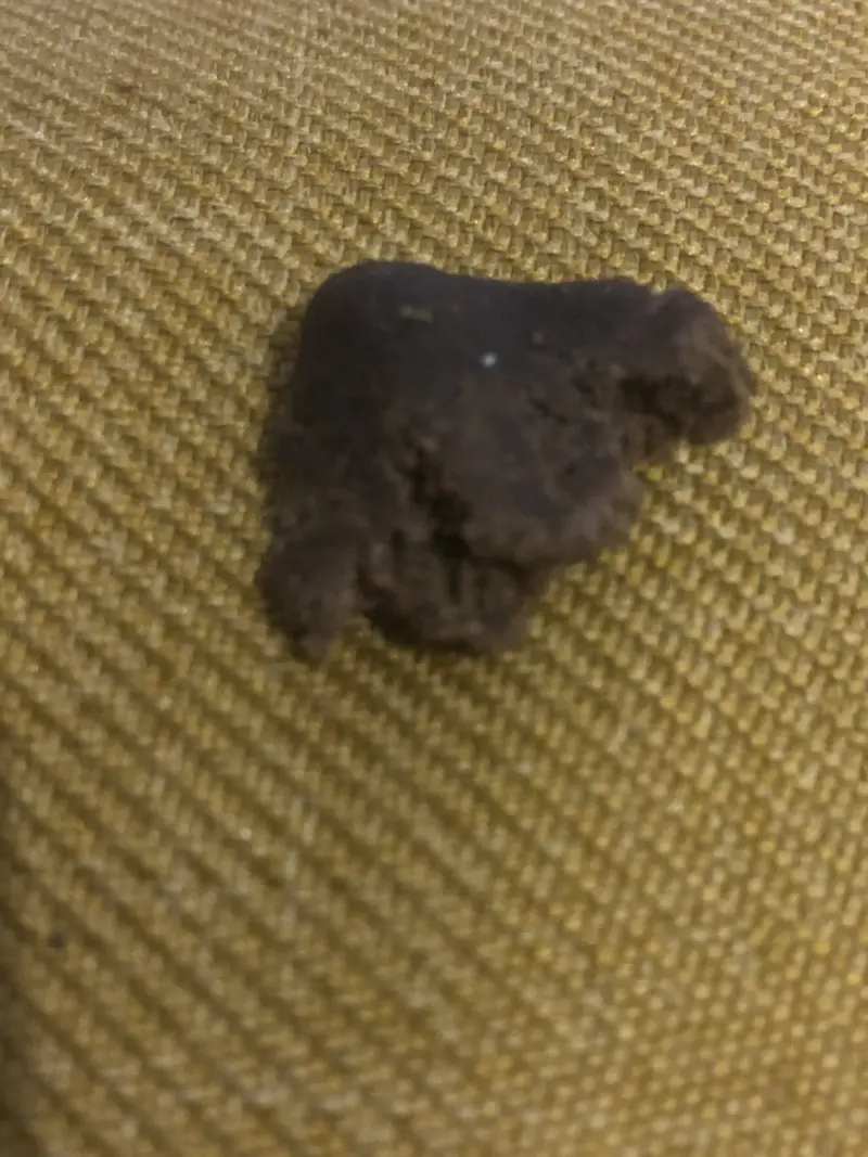 GG HASH BUBBLE CREAM | HACHÍS CBD - reseña de Hota_EmeEse
