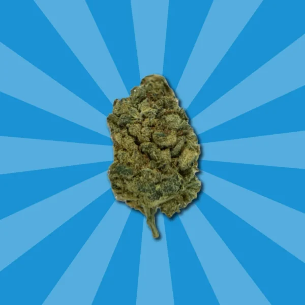 FORBIDDEN FRUIT CBD – Bild 4