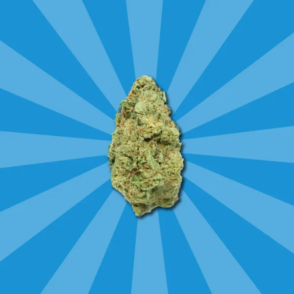 GELATO CBD - Image 4