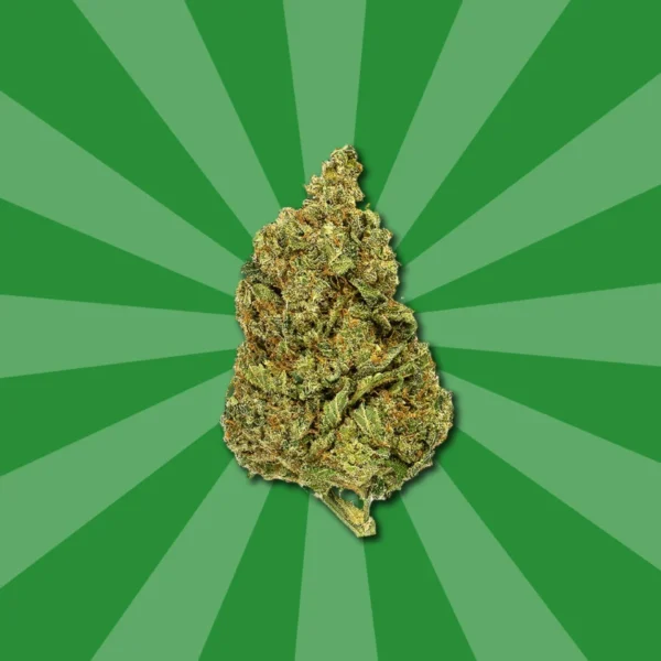 FLEURS DE GORILLA GRILLZ – Image 4