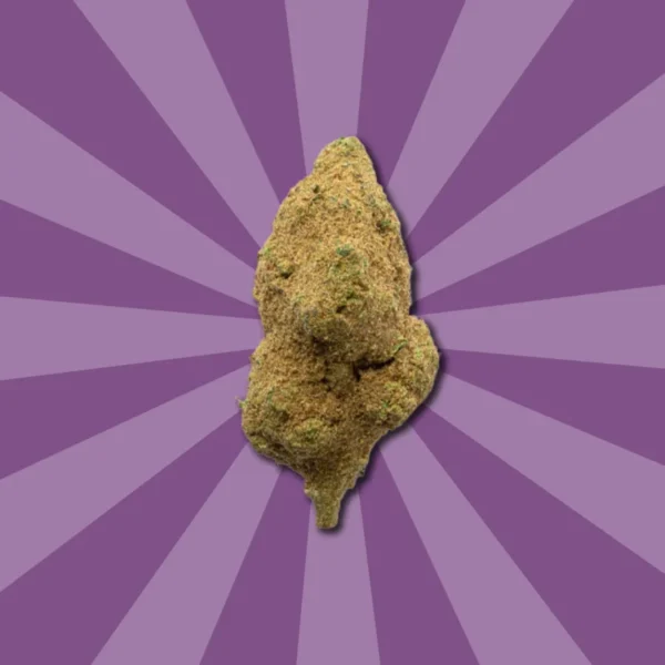 ROCK PACK - Imagen 4
