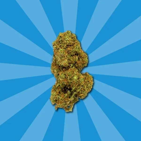 Orange Cookies CBD – Image 4