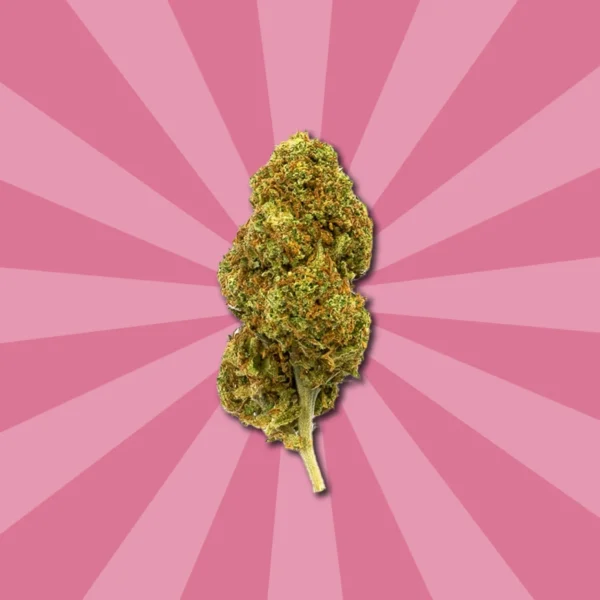 STRAWBERRY CBD - Image 4