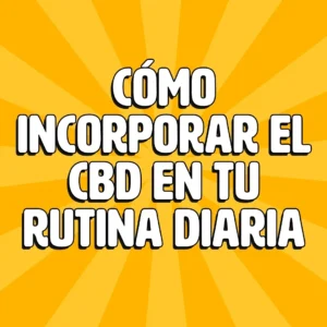 como incorporar el cbd en tu rutina diaria 1