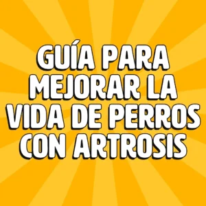 guia para mejorar la vida de perros con artrosis 1