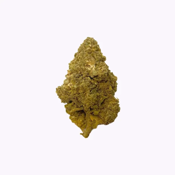 ÉDITION LIMITÉE JUTEUSE – Image 3