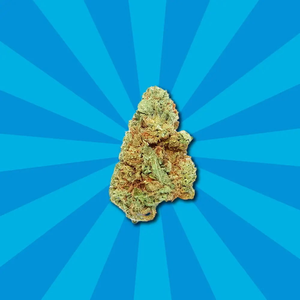Gorilla Glue CBD 1