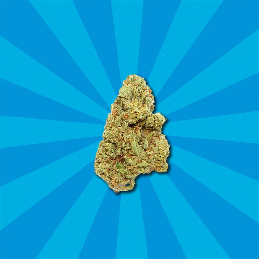 Mango Haze CBD
