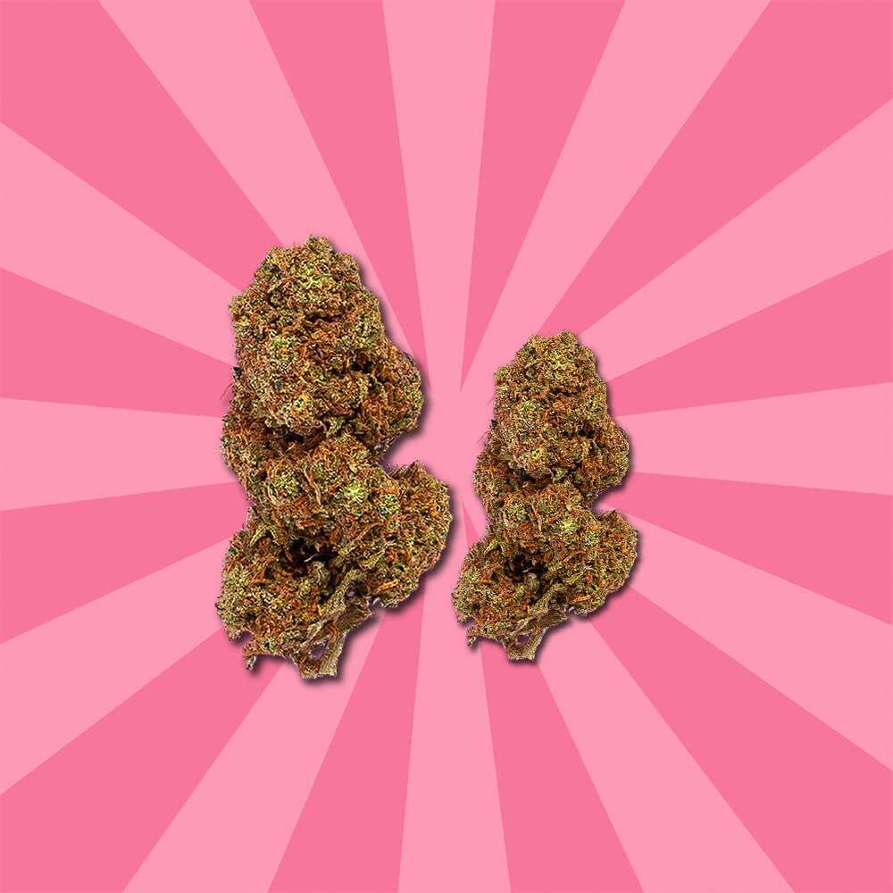 Red Cross CBD 34 Purple punch flores