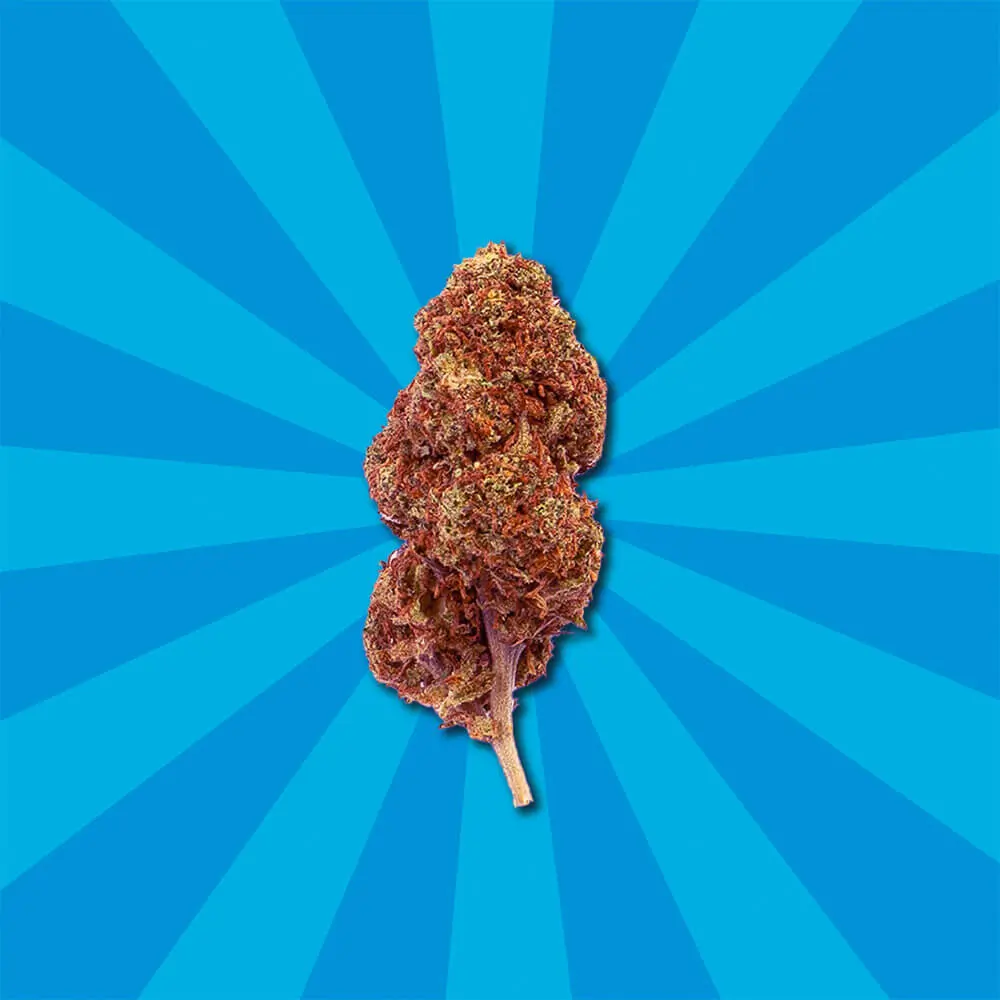 Red pure auto cbd