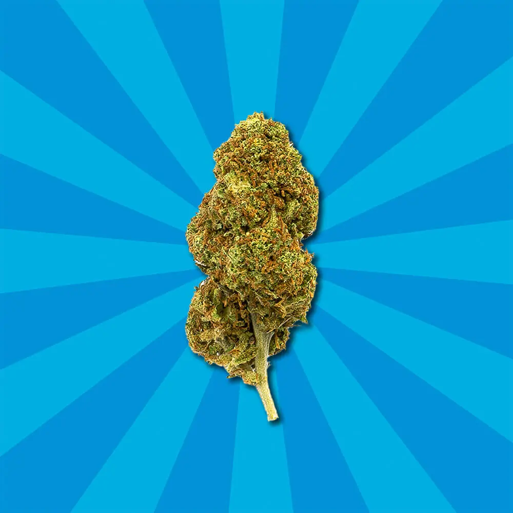 Blue cheese cbd